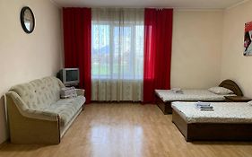 Apartments Domovik квартира с видом на гори Парканія 21